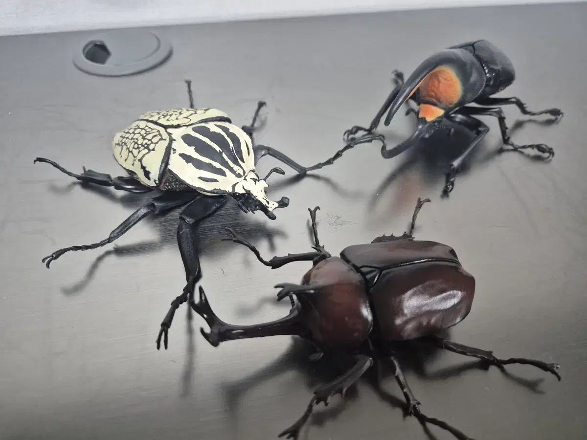 Encyclopedia of Living Creatures Orientalis Goliathus Flower Beetle Satan Dynastes Hercules Beetle Dynastes Hercules Beetle Vol. 5 Bandai