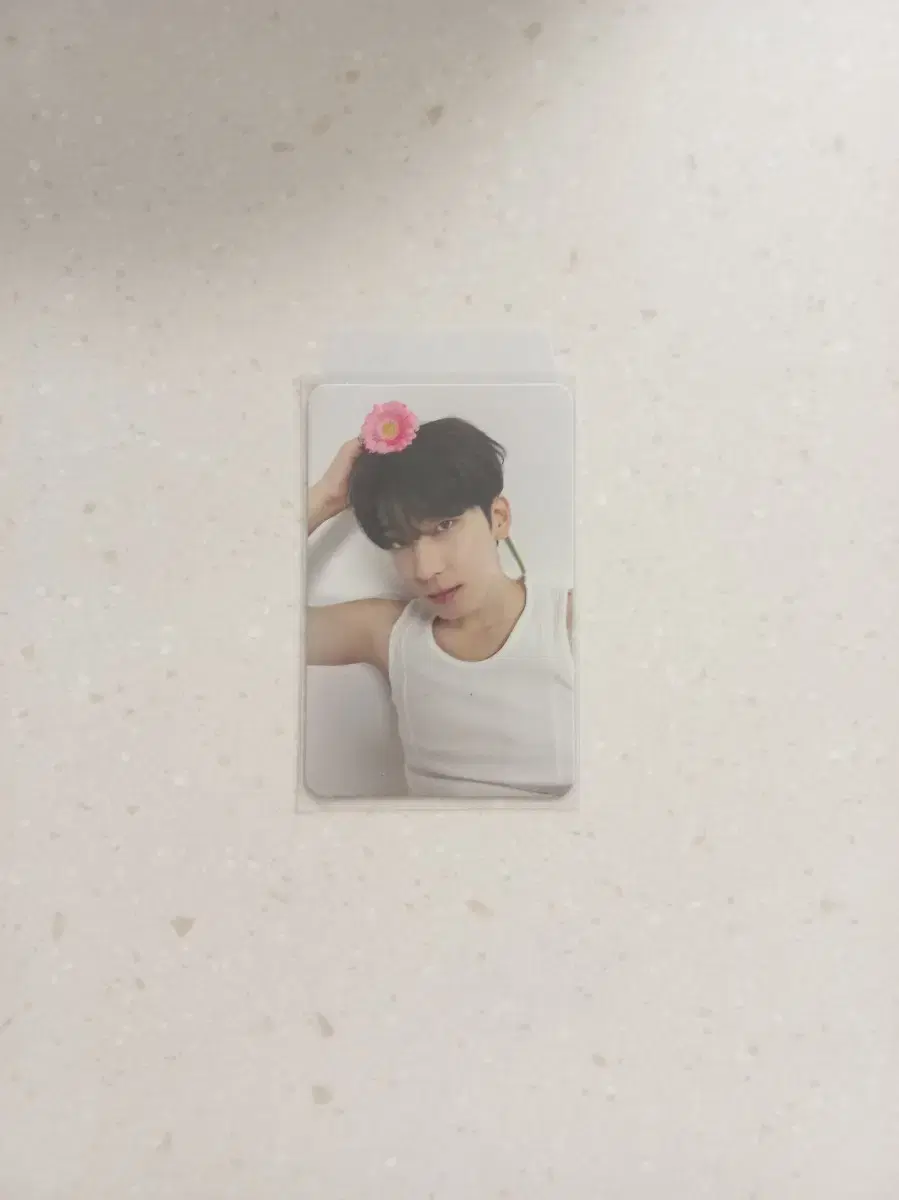 Seventeen Maestro Carat Vahn wonwoo photocard WTS