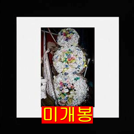 조월 - 아무것도 기념하지 않는 (미개봉, CD)