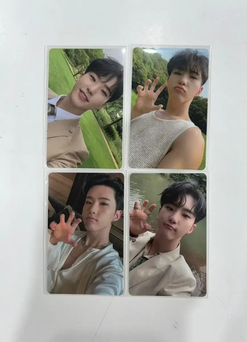 SocialClub hoshi bulk/individual wts