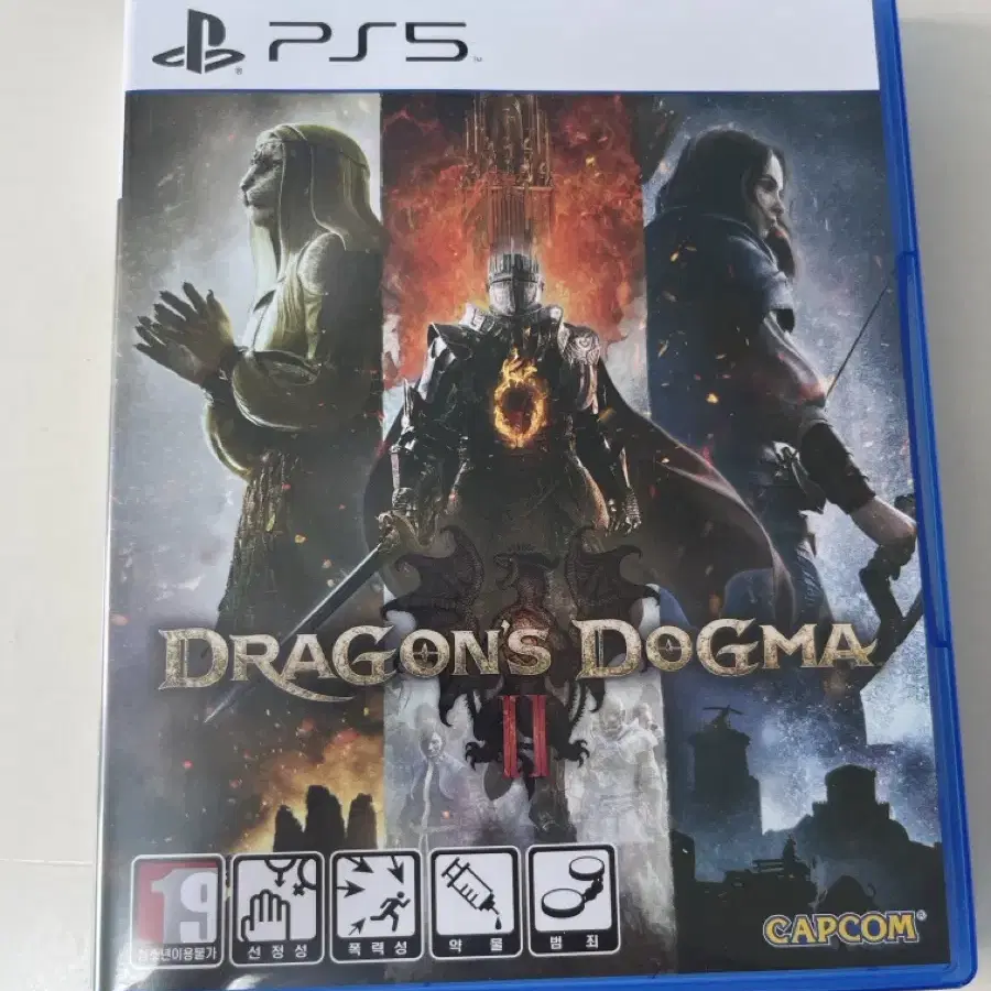 플스5 DRAGONS DOGMA cd