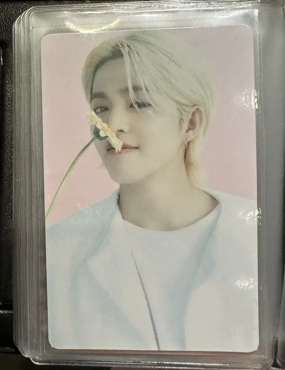 Seventeen Cafe tc s.coups