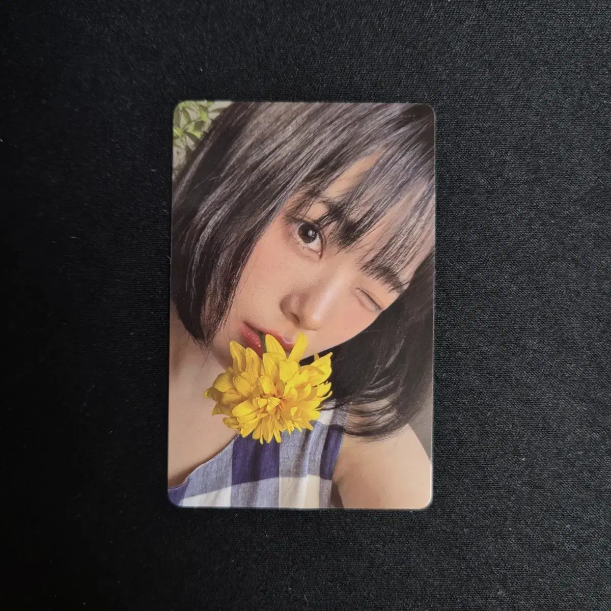 QWER siyeon photocard albumphotocard tomorrow is sunny