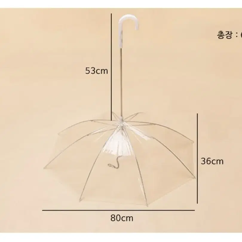 강아지 산책우산