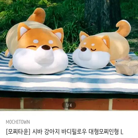 모찌모찌 시바인형 라지 사이즈(가로 50센치)