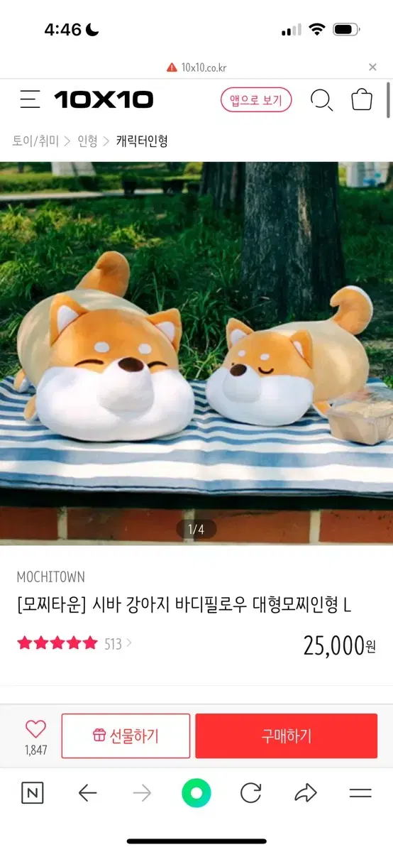 모찌모찌 시바인형 라지 사이즈(가로 50센치)