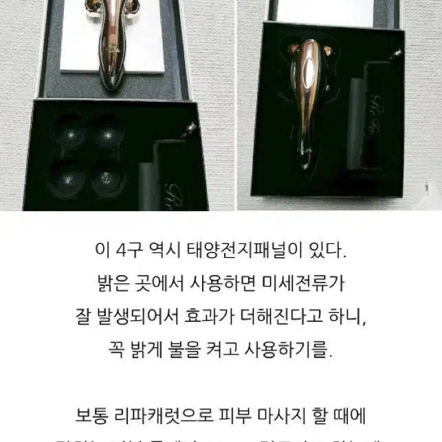 리파포캐럿