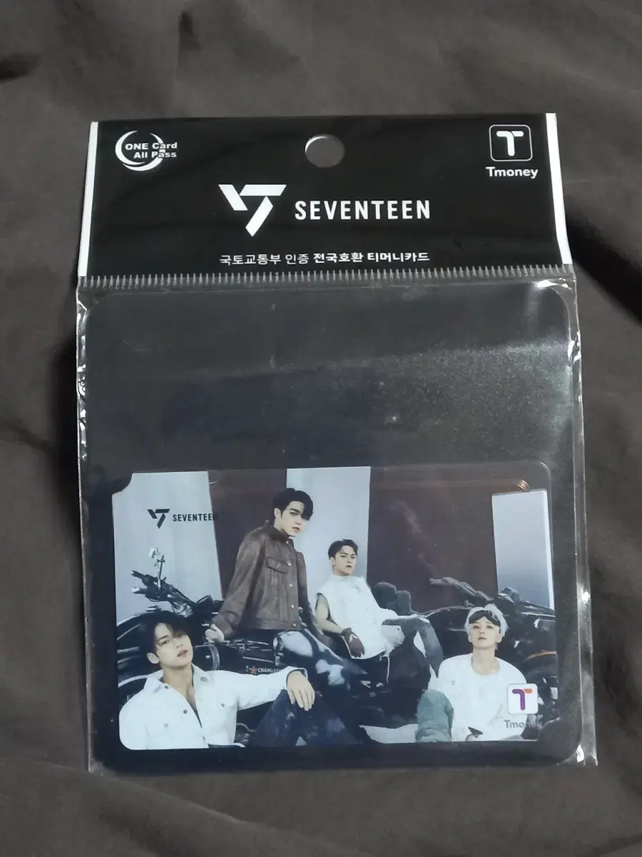 Seventeen Hip Hop Team Transparent T-Money Transportation Card