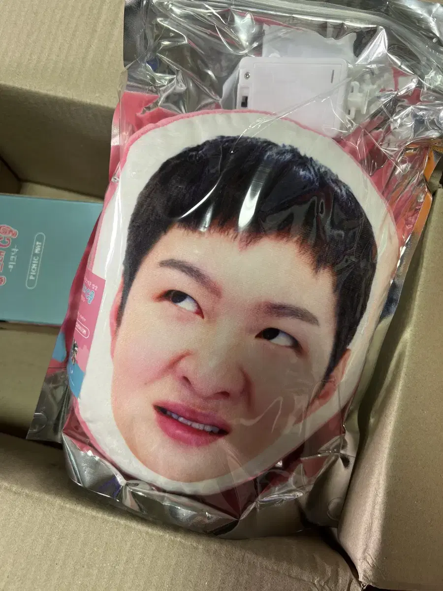 BTOB lee changsub Binggrae Foot Goods (Cushion, GripTalk)