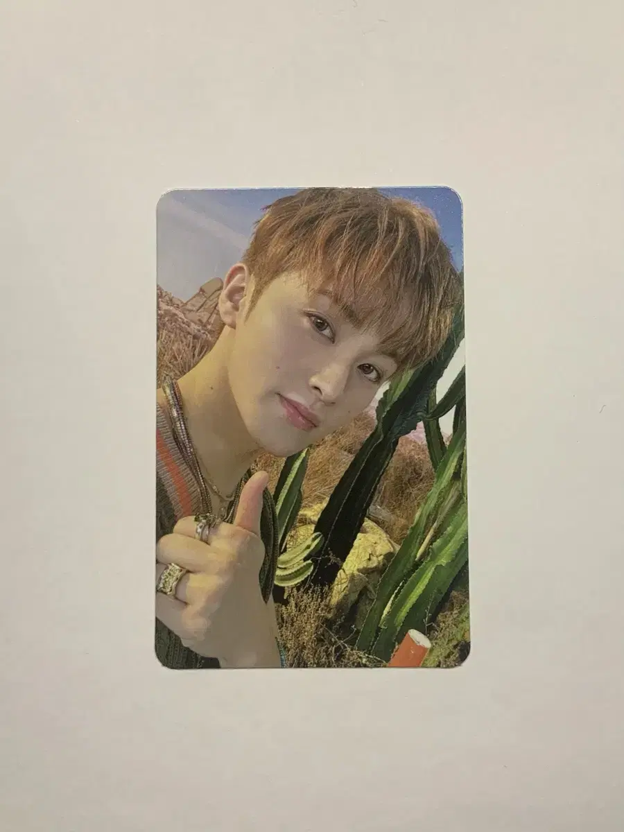 Mark Piggot walk alpo photocard nct127