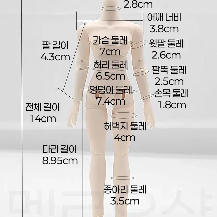 남아 근육 텐션 바디 14cm 오비츠 11 ob11 롱바디