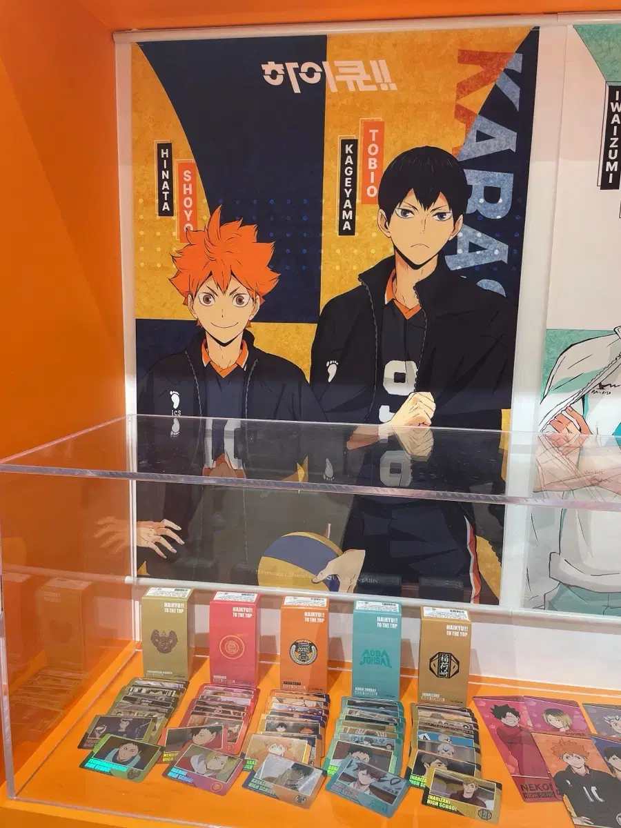 Haikyuu Shinsegae Pop Up Karasuno Hinata & Kageyama A1 Tapestry Unsealed