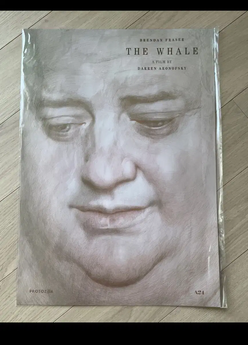 The movie The Whale poster sells