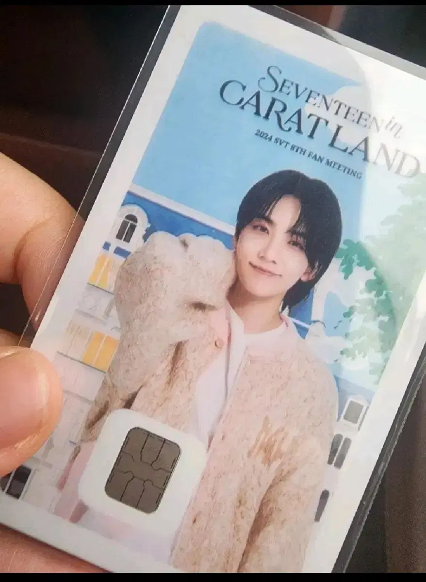 Seventeen jeonghan namanekard wts