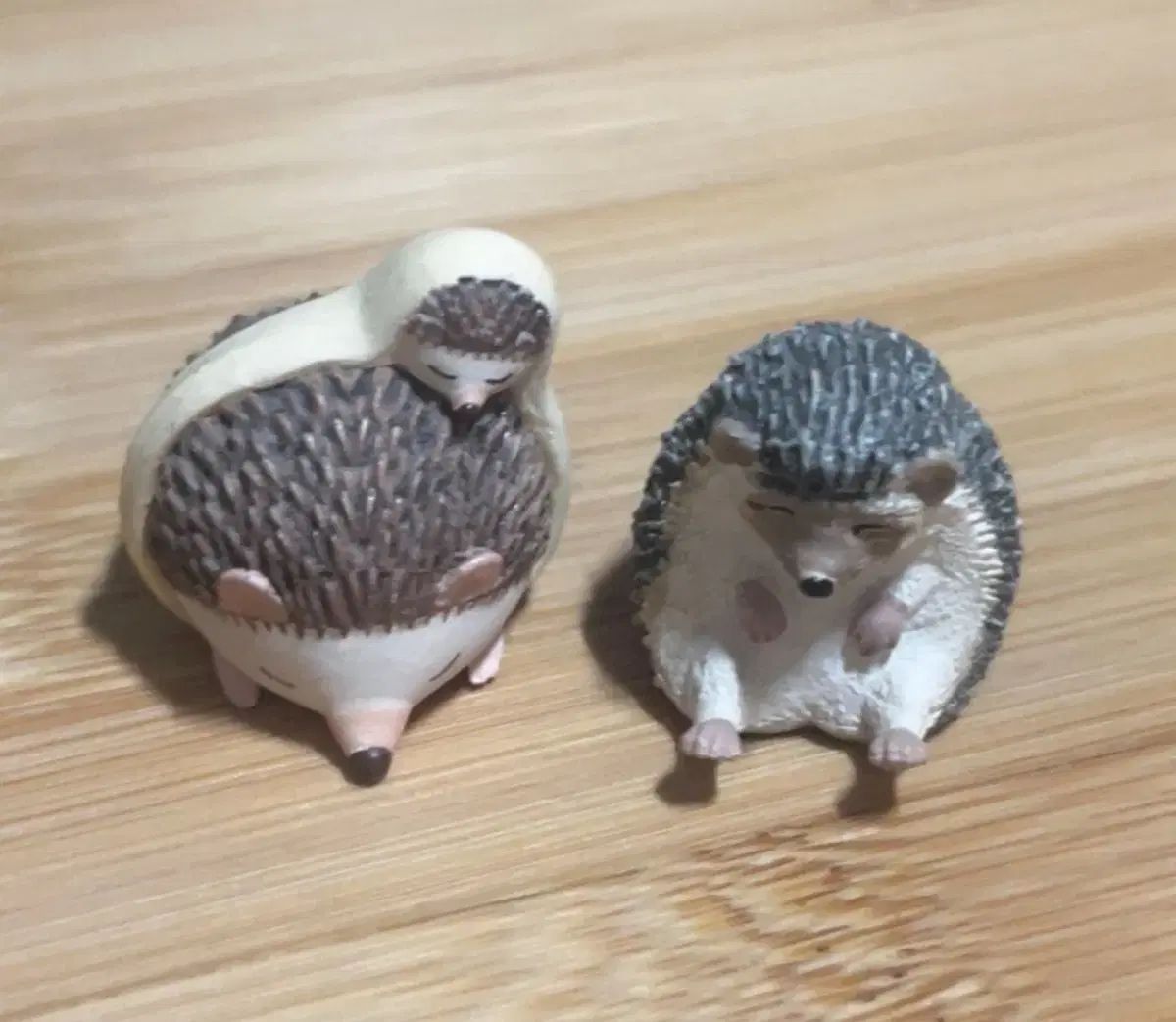 Sleeping Animal Gacha Hedgehog