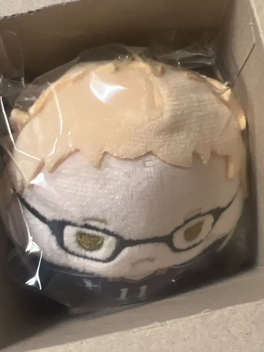 Haikyuu Fuwakororin 2nd Edition Chikki