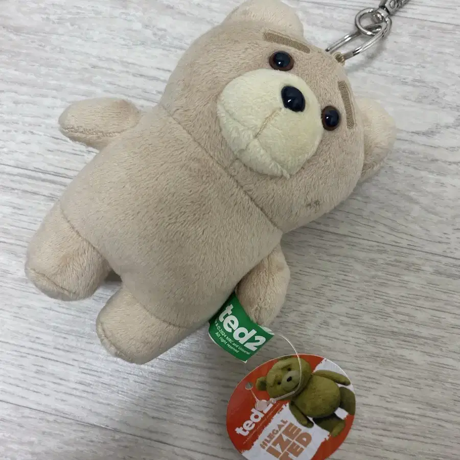 ted 인형 키링