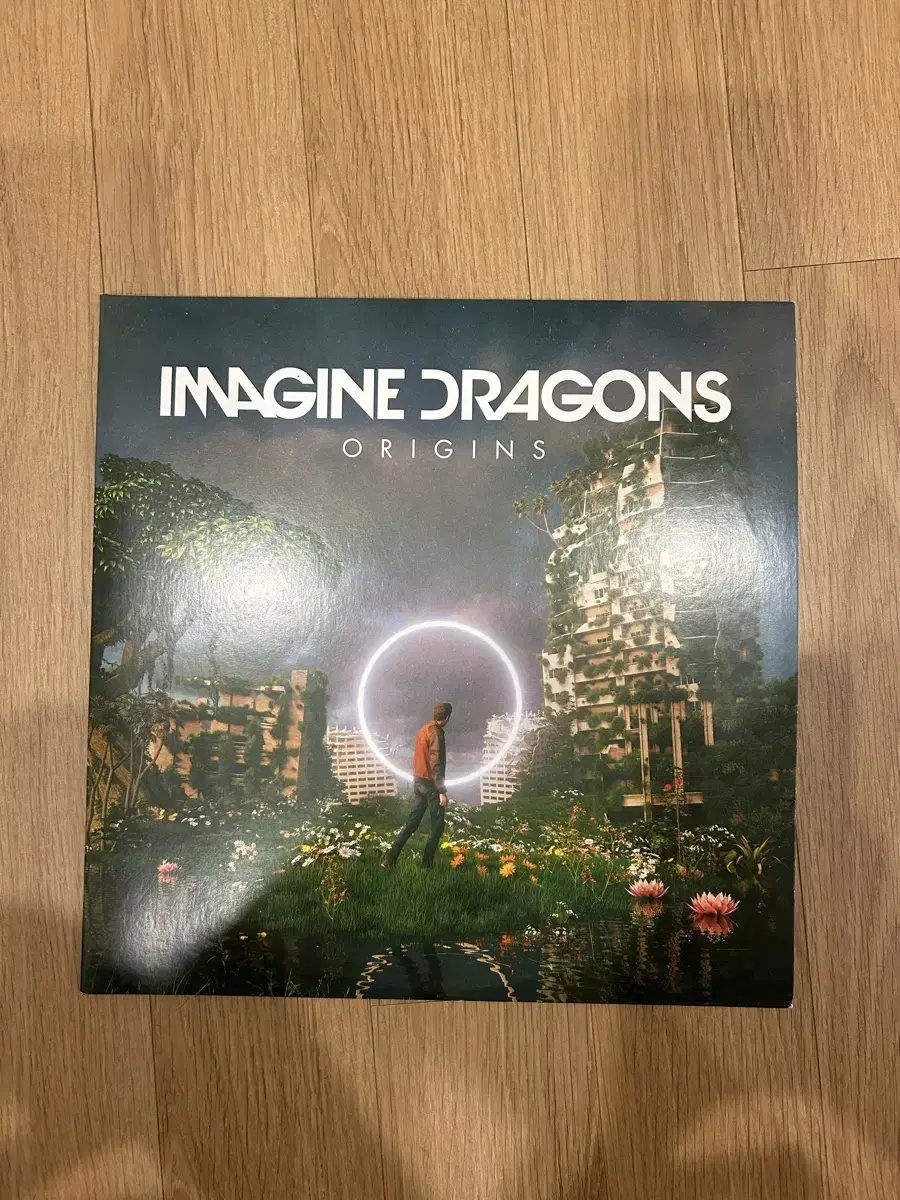 이매진드래곤 IMAGINE DRAGONS LP