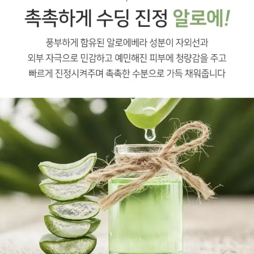 알로에 진정 토너패드