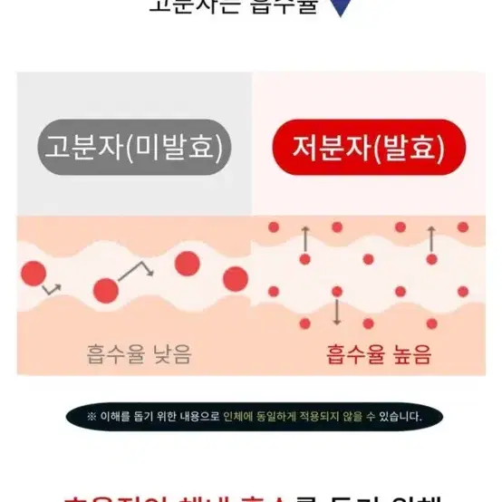 뉴트리커스텀 홍국발효 새싹보리 추출분말