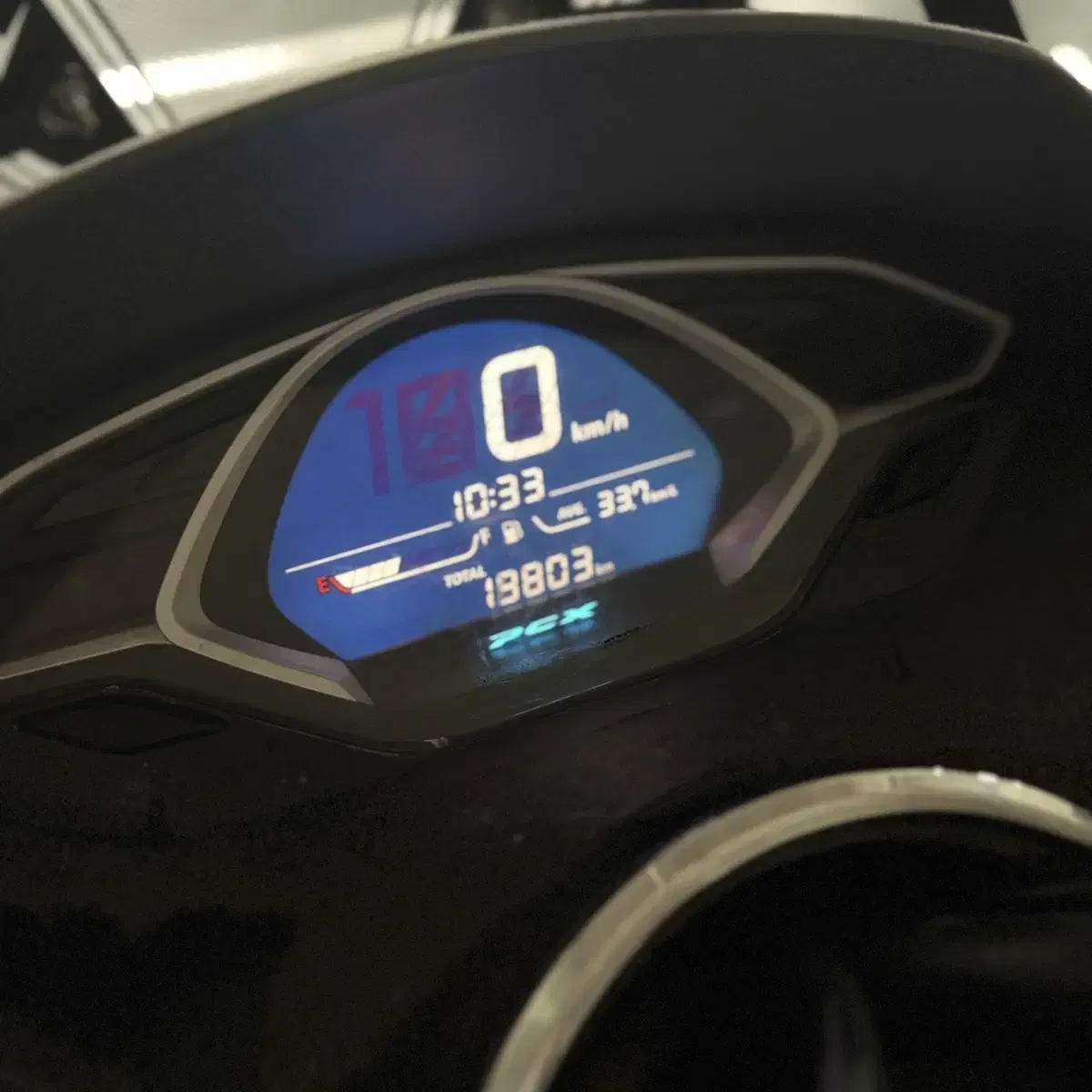 pcx 2019년식 (짧은키로수)