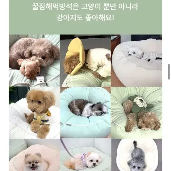 [새상품] 아르르 해먹방석 쿠션 + 커버2개