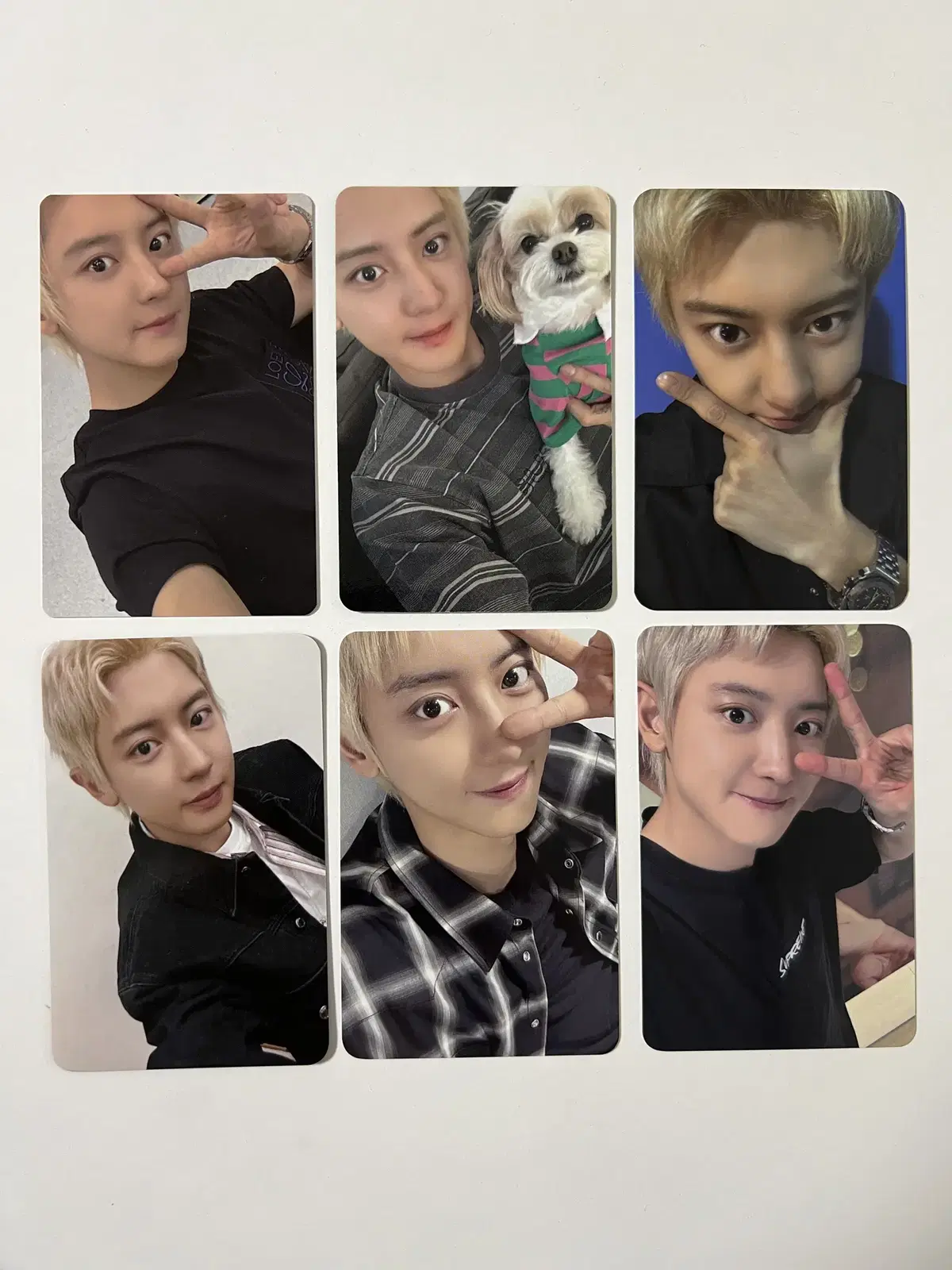 Exo chanyeol Black Out Pansa pre-order benefit photocard unreleased photocard Set