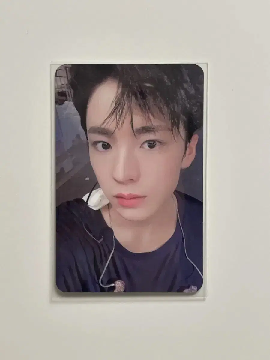 NCT wish Songbird Uushi photocard DIMAMU