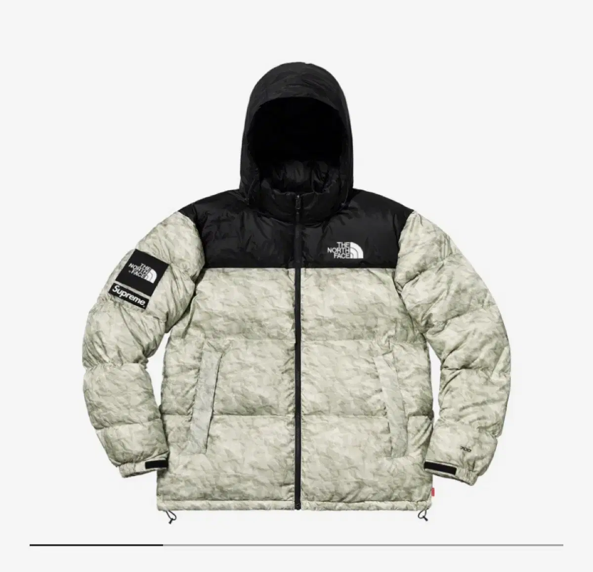 Supreme x The North Face Fei Nuxi