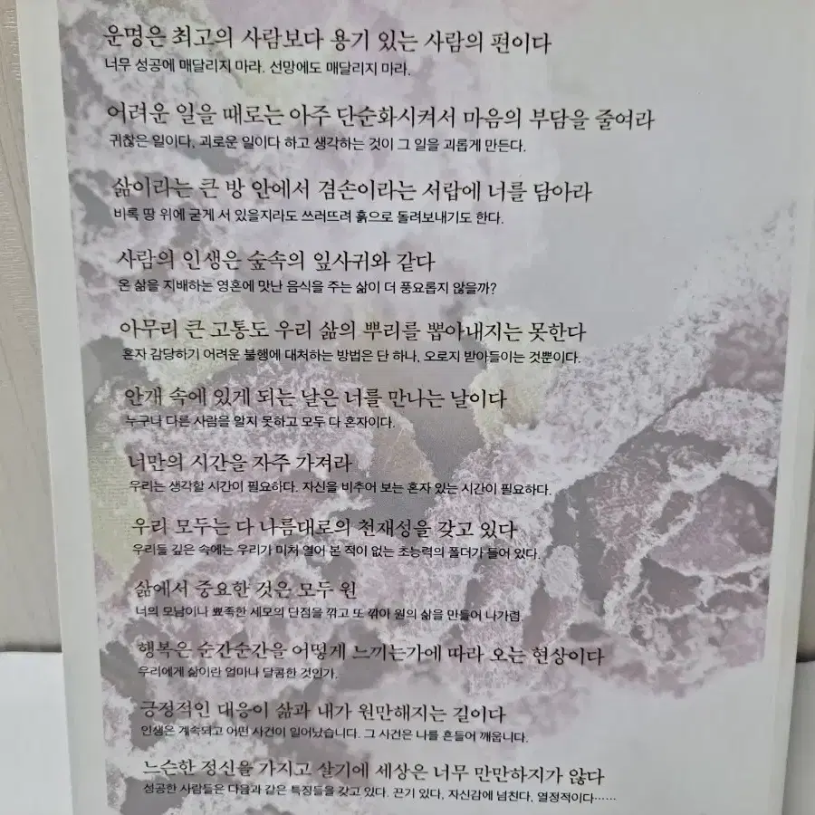 중고 상품)   11권 다드림/ 10대들을 위한 여러가지 다양한 고급 책