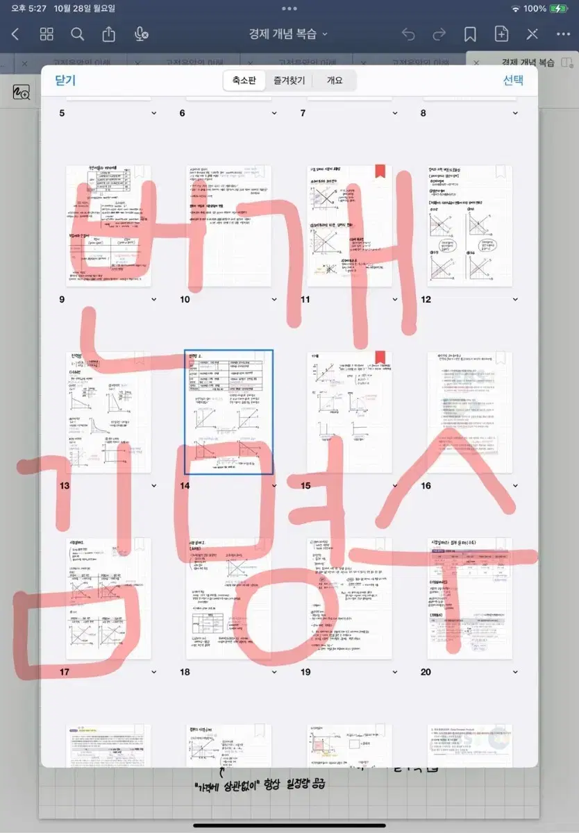 수능 경제 심화 개념 단권화 PDF + 수능 경제 수기 + 인강T 정리