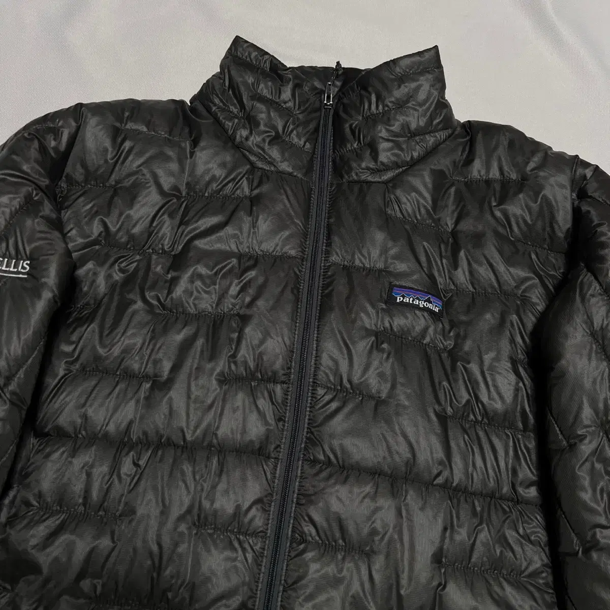 L Patagonia MicroPuff Padding