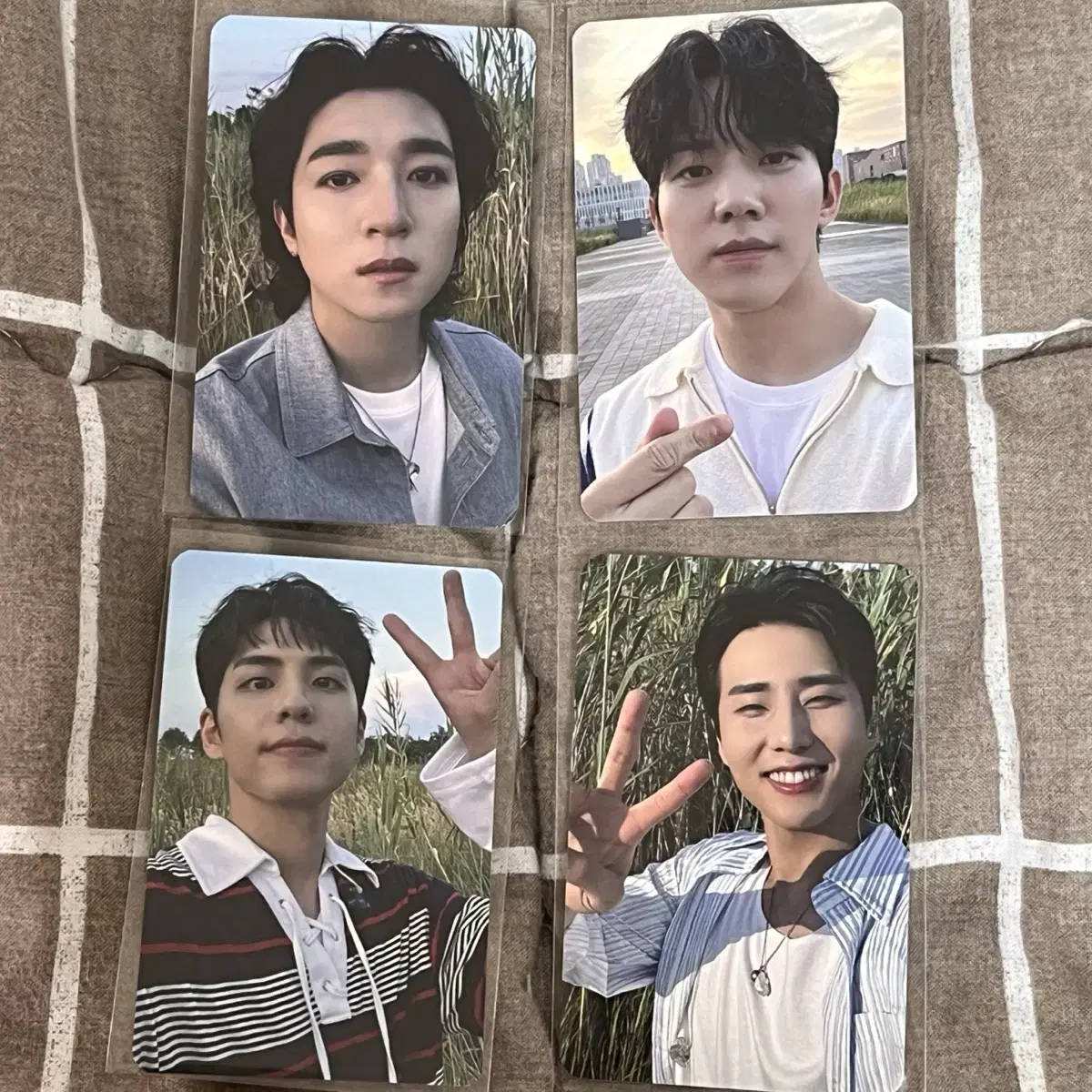 Day 6 Connect offline unreleased photocard photocard Bulk