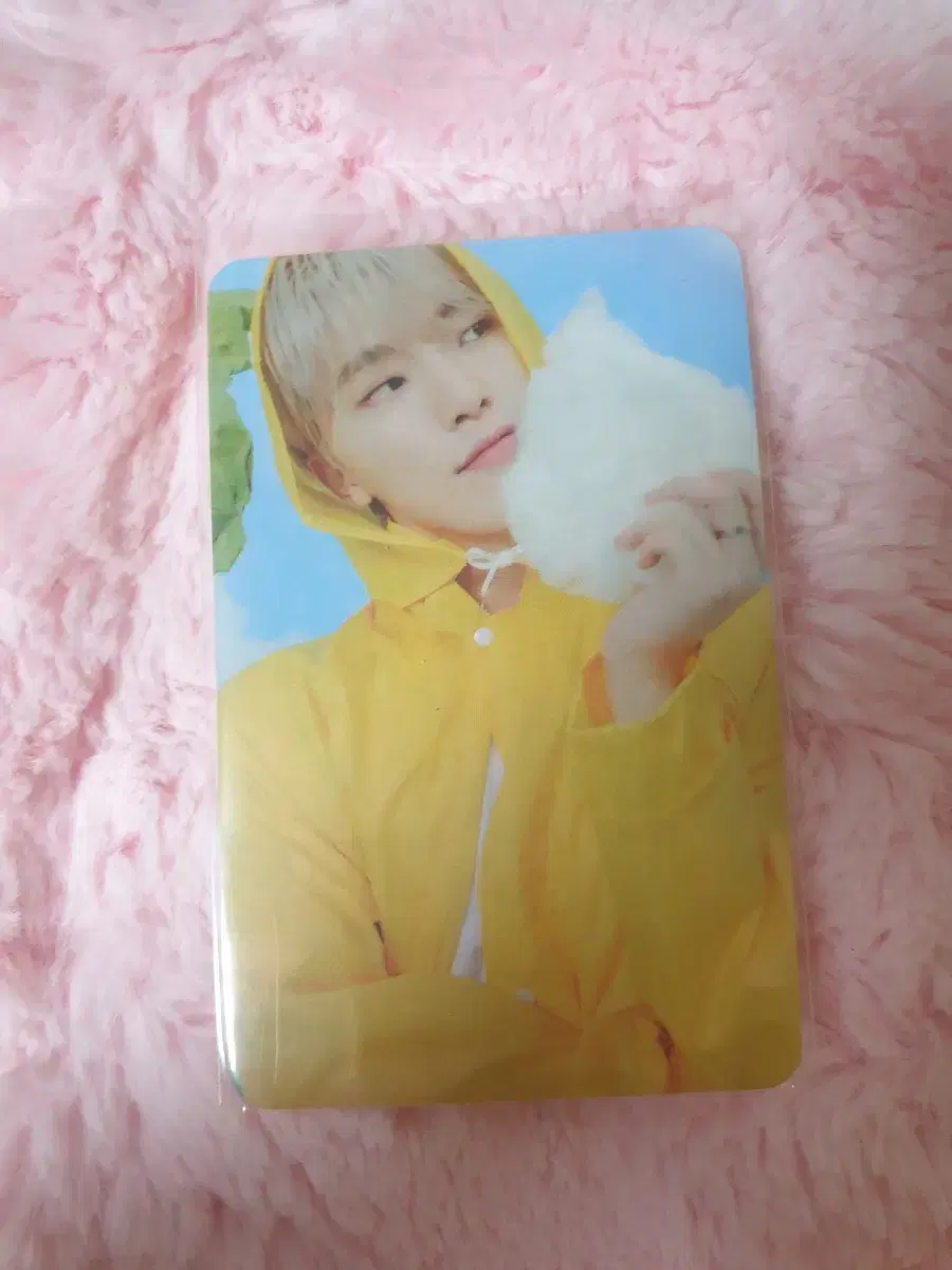 The God of Seventeen Music dino photocard