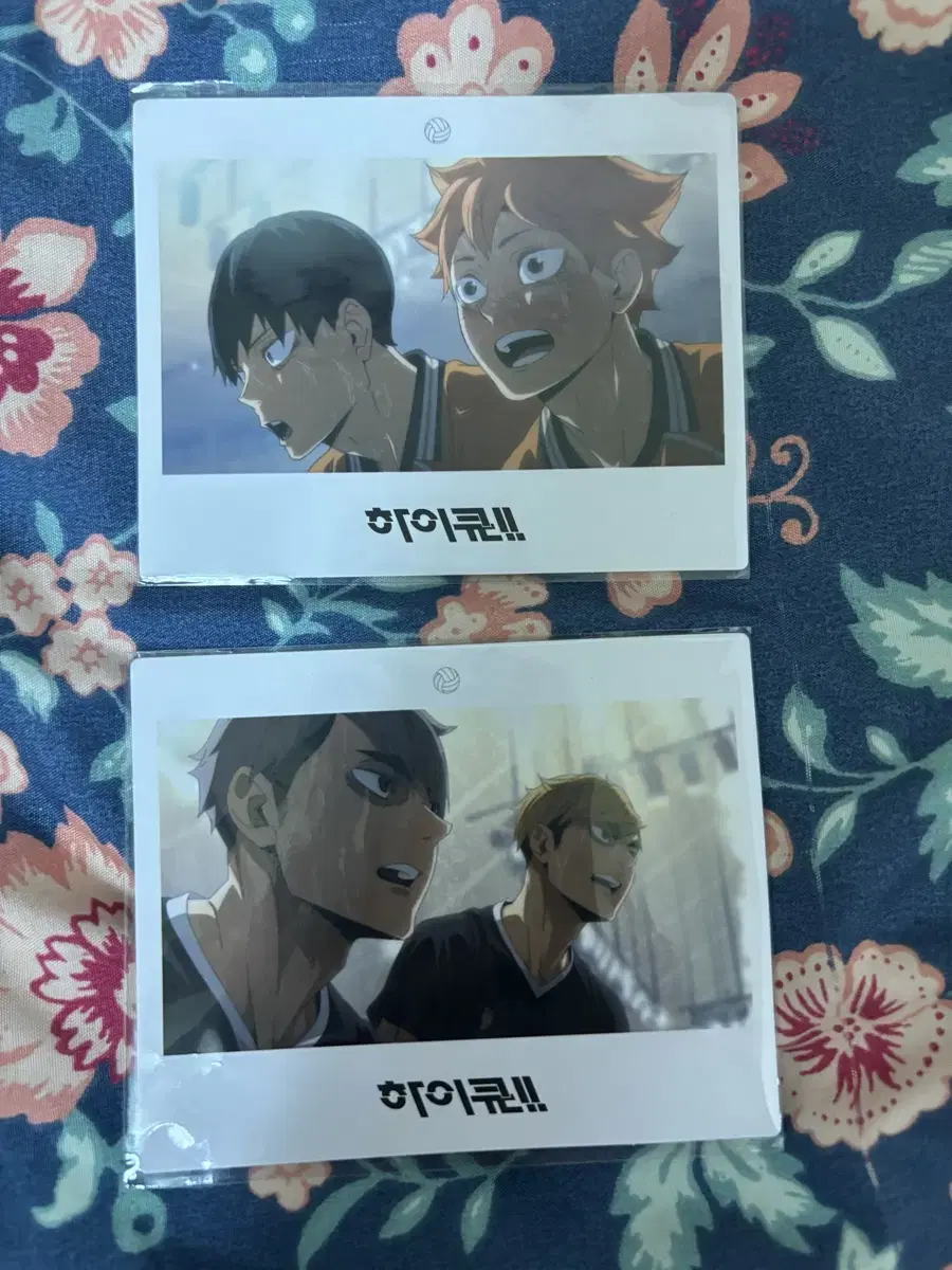 Haikyuu pop up pre-order benefit polaroid WTS