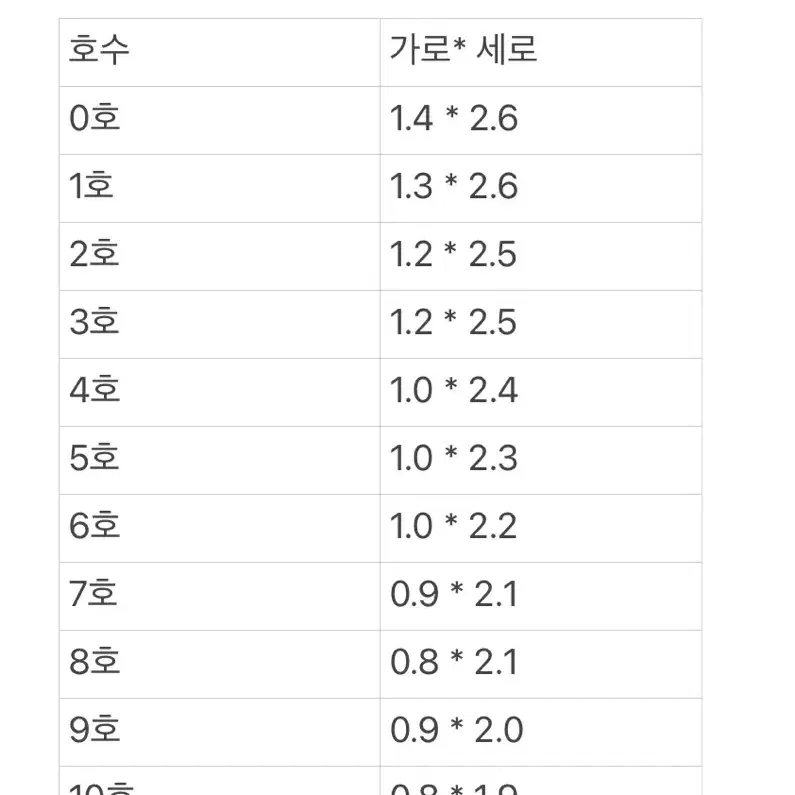 은은한 실버 자석 네일팁 (구성포함)