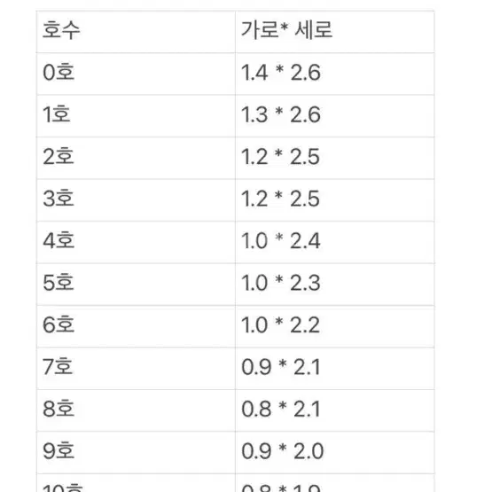 은은한 실버 자석 네일팁 (구성포함)