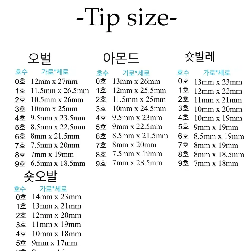 은은한 실버 자석 네일팁 (구성포함)