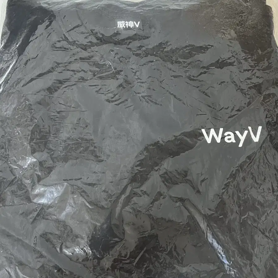 wayv 웨이션브이 레인보우티셔츠 렌보티