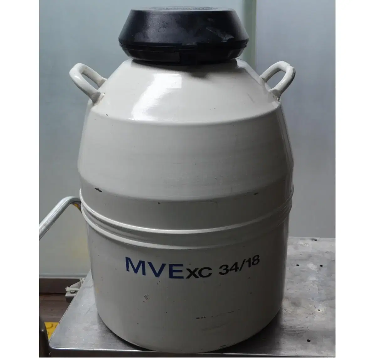 질소통 MVE XC34,18 Nitrogen Tank