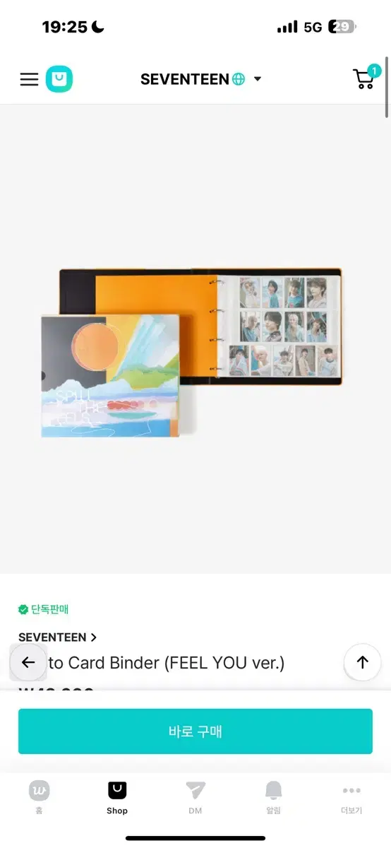 Seventeen binder buncheol