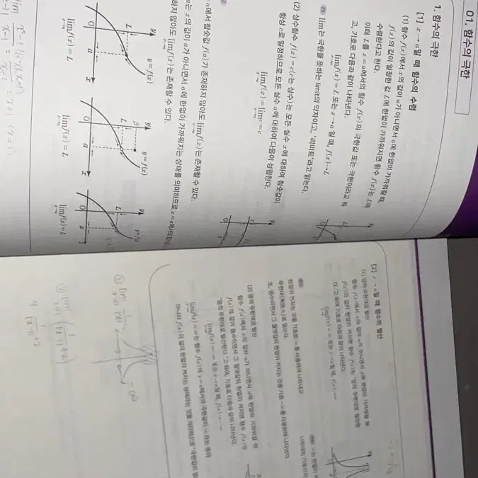 메가 장미리t 개념 수2