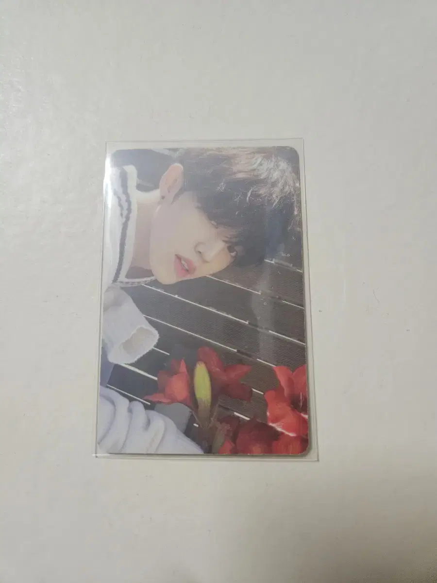 SEVENTEEN s.coups Seungchul Seungchul photocard Park Hwa Kup Park Soo White carrot zone ld