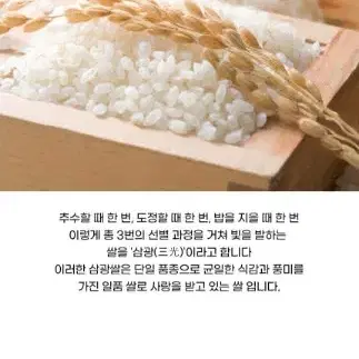 번개최저가 특등급24년햅쌀 삼광쌀 20KG(10KGX2포)삼광미