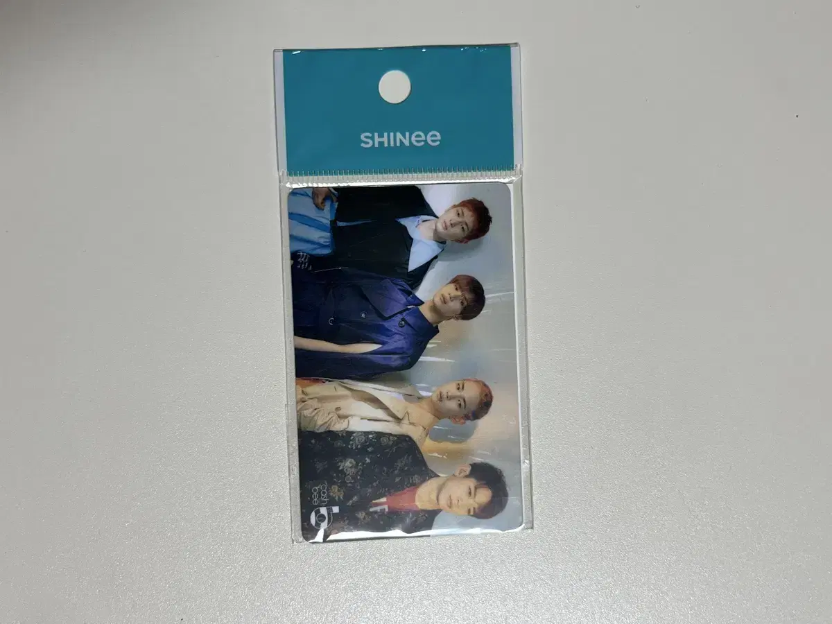 Shinee picks up CashBee (transportation kard)