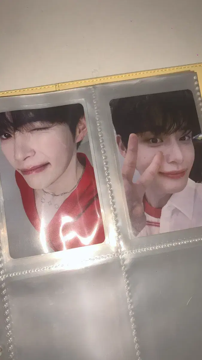 폭덤)zb1 틈새라면 sung hanbin kim jiwoong photocard