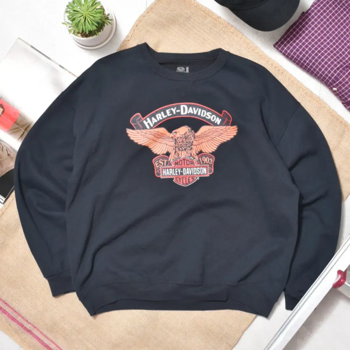 00S Harley-Davidson Fruits of the Room cignature Printed Man to Man Sweatshirt