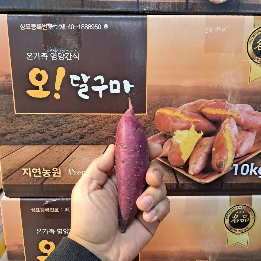 오! 달구마 오리지날 밤고구마9kg(무료배송)