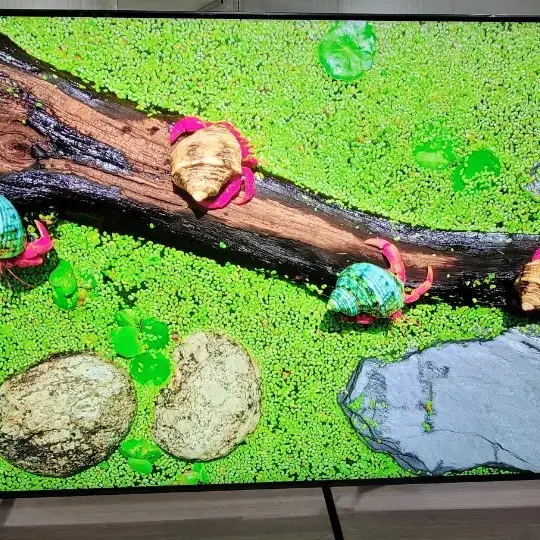 LG75NANO99 8kuhd 스마트tv