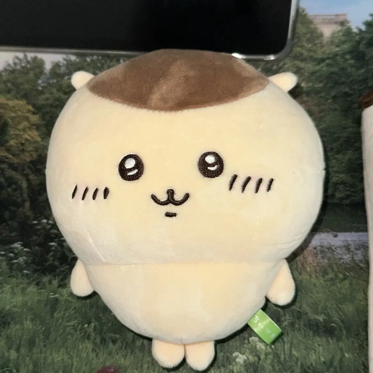 쿠리만쥬 모찌 누이 20cm 인형 밤만쥬 치이카와 먼작귀